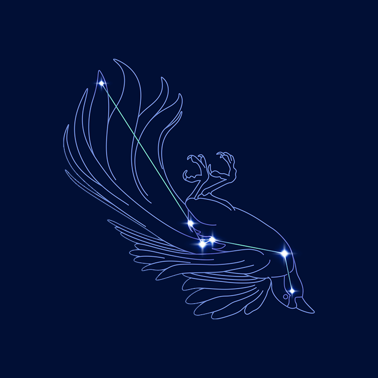 星座
