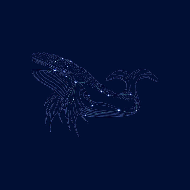 星座