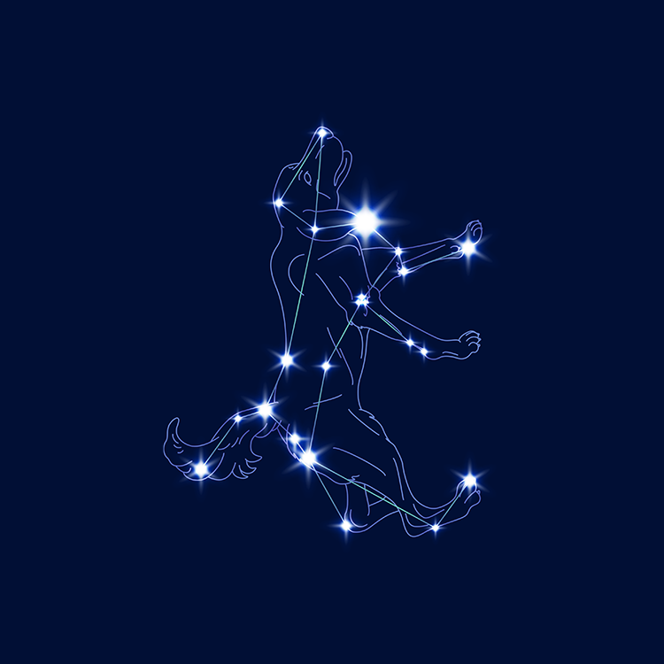 星座