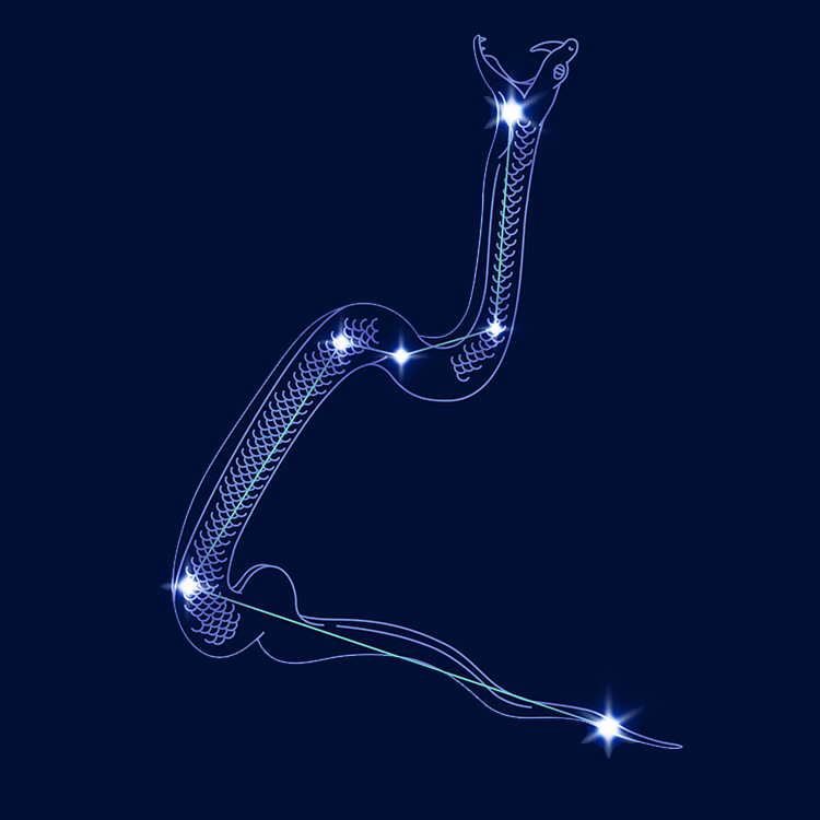 星座
