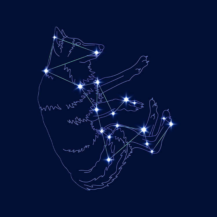 星座