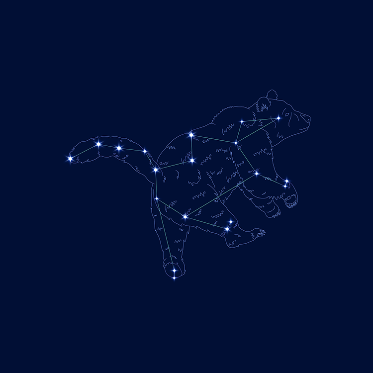 星座